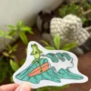 Rana Surf